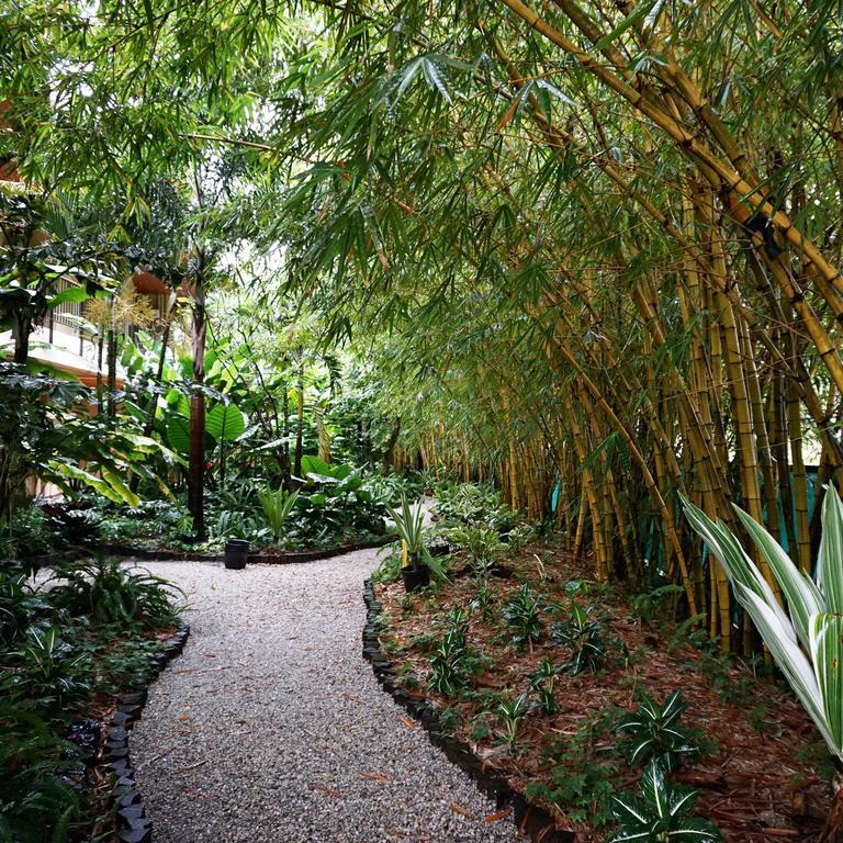 Jacana Amazon Wellness Resort باراماريبو المظهر الخارجي الصورة