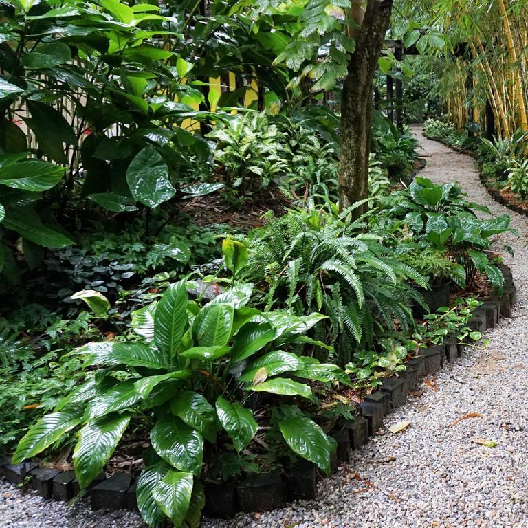 Jacana Amazon Wellness Resort باراماريبو المظهر الخارجي الصورة