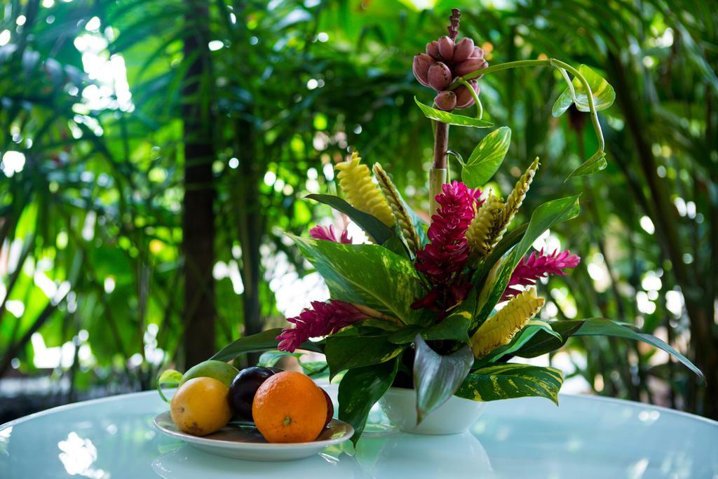 Jacana Amazon Wellness Resort باراماريبو المظهر الخارجي الصورة