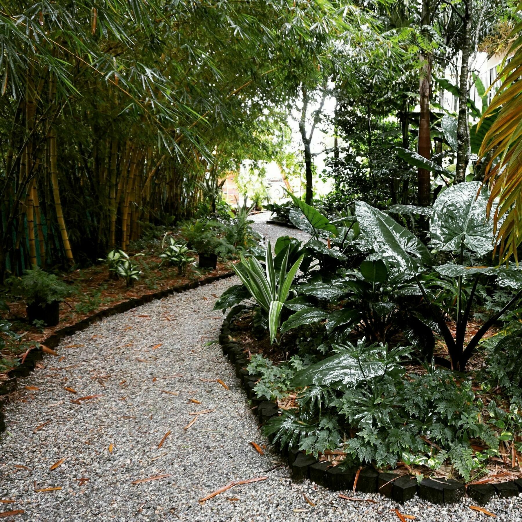 Jacana Amazon Wellness Resort باراماريبو المظهر الخارجي الصورة